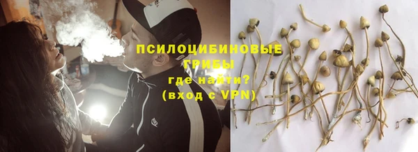прущая мука Алзамай