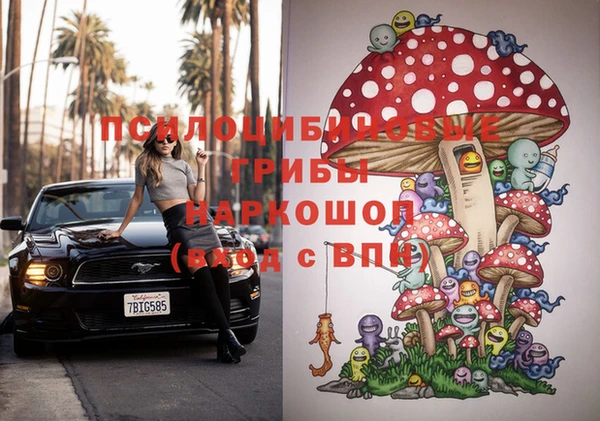 прущая мука Алзамай