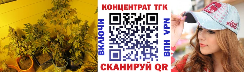 магазин Новоалтайск ТГК концентрат