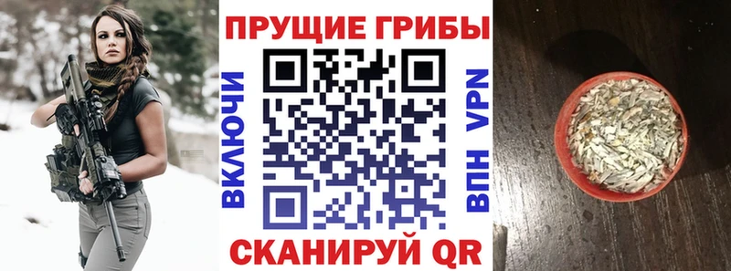 Галлюциногенные грибы ЛСД  как найти наркотики  Новоалтайск 