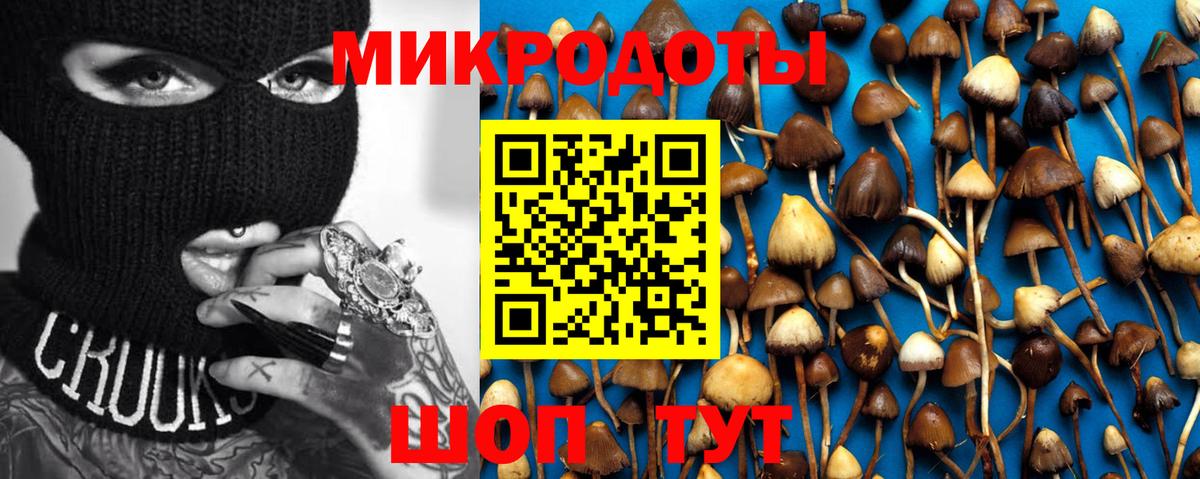 Псилоцибиновые грибы мухоморы  Вход с VPN  Новоалтайск 