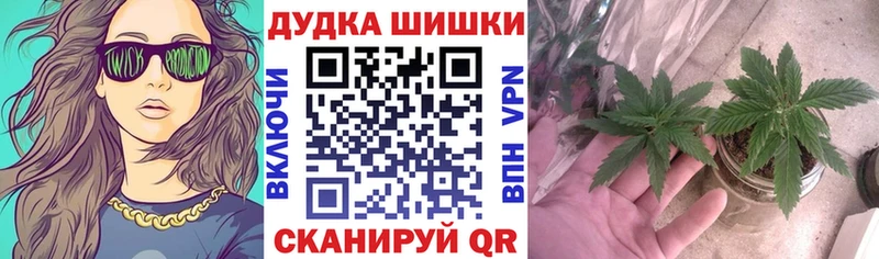 МАРИХУАНА марихуана  blacksprut онион  Новоалтайск 